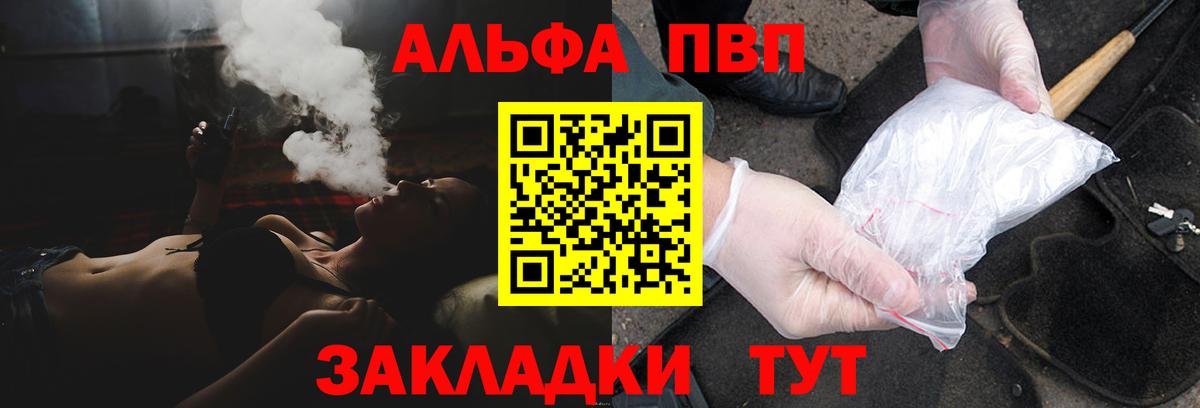 Alfa_PVP СК Урус-Мартан
