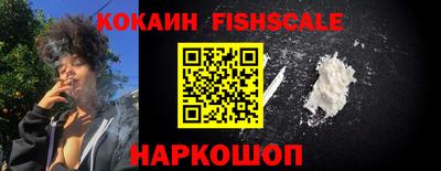 спиды Новодвинск