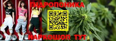 спиды Новодвинск