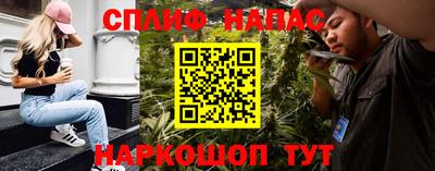 спиды Новодвинск