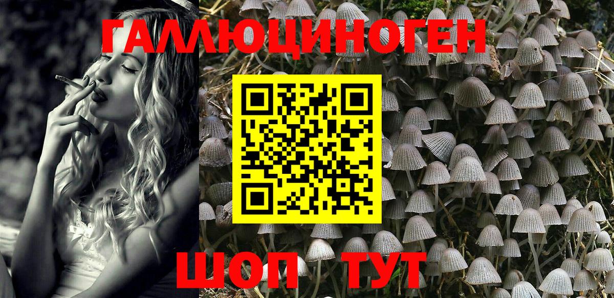 Галлюциногенные грибы мухоморы  Вход с VPN  Псилоцибиновые грибы Psilocybine cubensis  Урус-Мартан 
